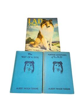 Lad the Dog Way Dog Further Adventures Lot 3 Books HC Albert Payson‎ Terhue